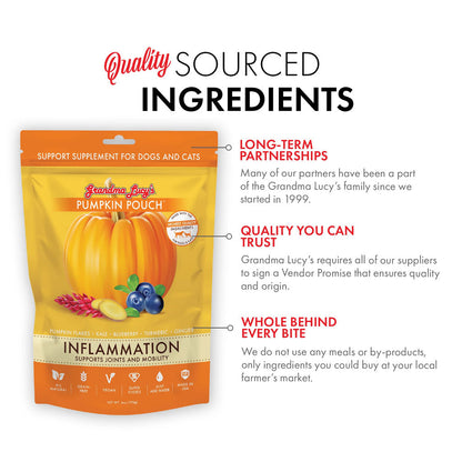 Pumpkin pouch for dogs and cats with branding and product details on a white background
