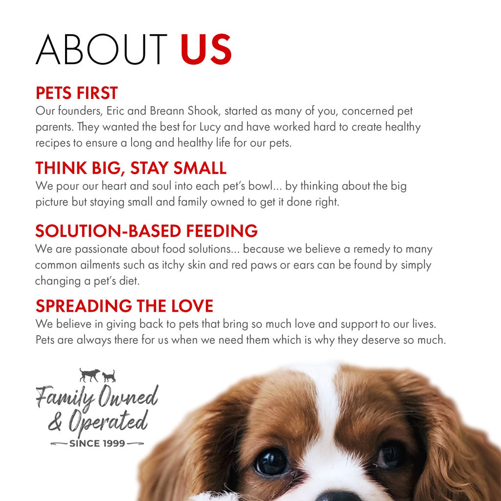 About Us section with text and a dog's face on a white background