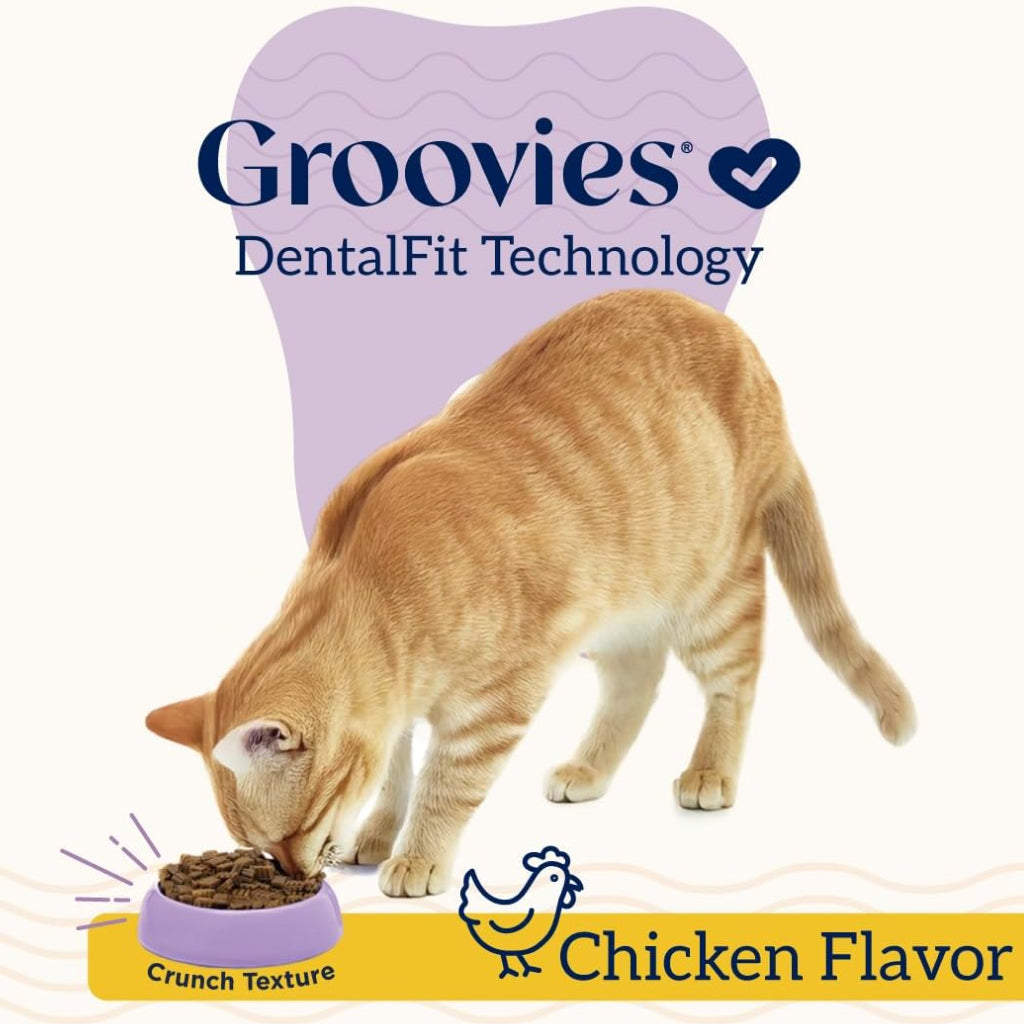 Groovies Chicken Flavor Dental Treats for Cats