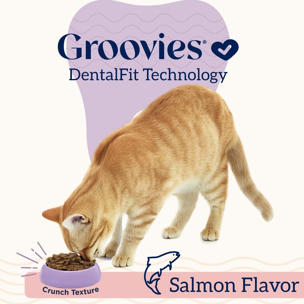 Groovies Salmon Flavor Dental Treats for Cats (7.05 oz)