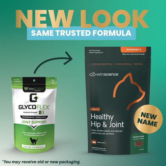 Healthy Hip & Joint Chews for Cats