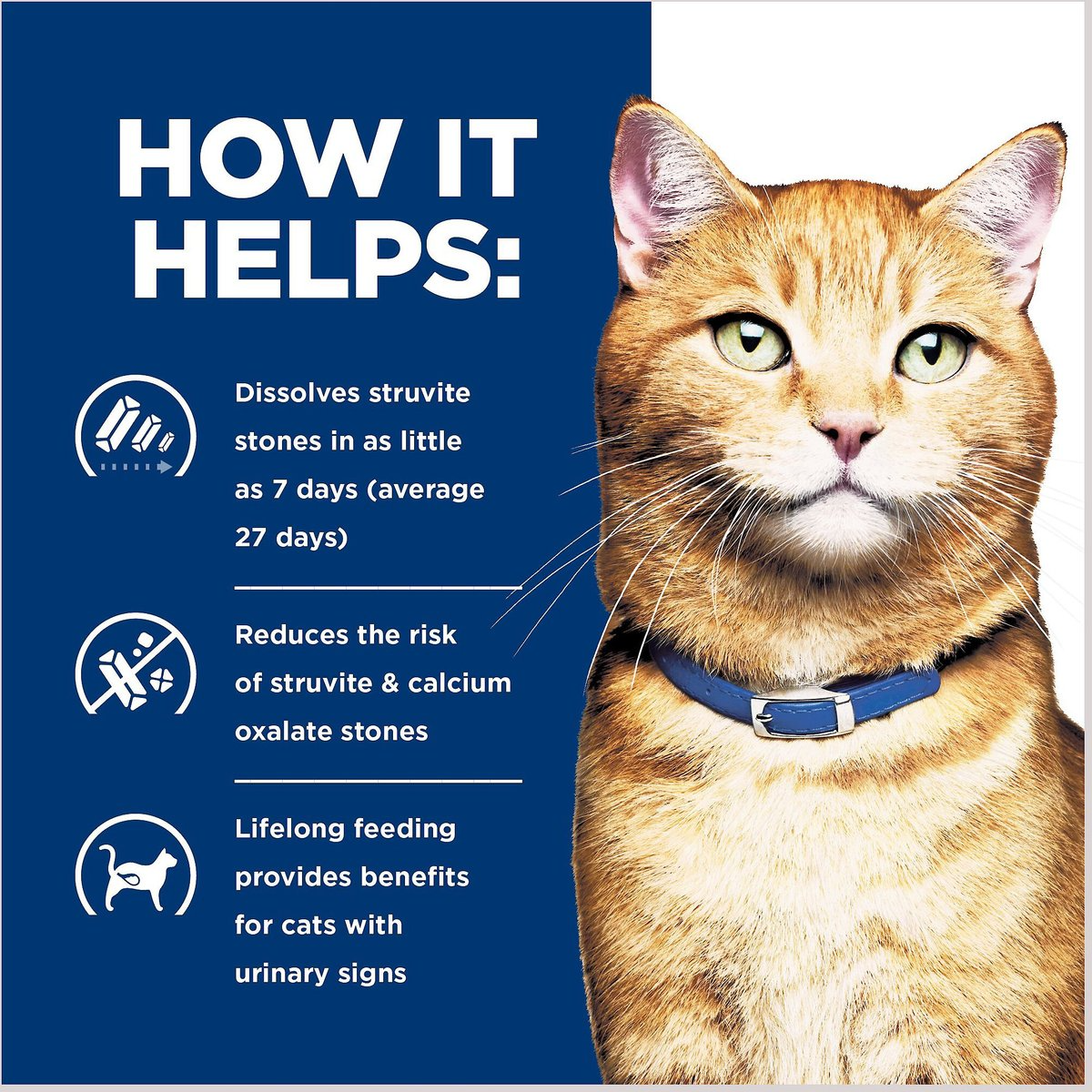 Hill's Prescription Diet c/d Multicare Urinary Care with Ocean Fish Canned Cat Food, 5.5 oz