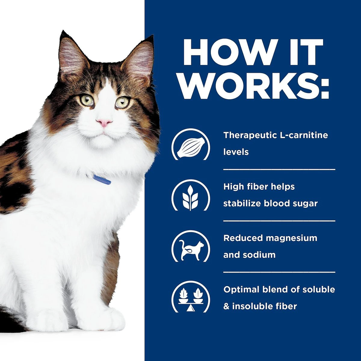 Hill's Prescription Diet w/d Multi-Benefit Digestive/Weight/Glucose/Urinary Management Chicken Flavor Dry Cat Food