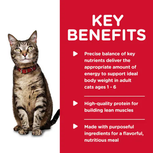 Key benefits