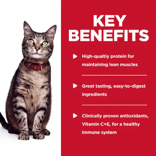 Key benefits