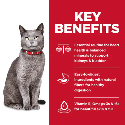 Key benefits