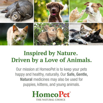 HomeoPet UTI Plus Urinary Tract Infection for Pets