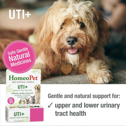 HomeoPet UTI Plus Urinary Tract Infection for Pets