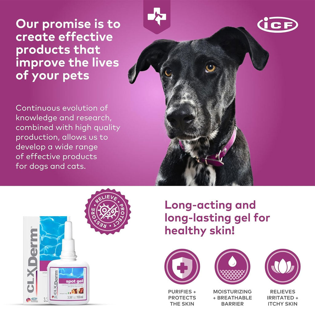 Dog with CLX Derm products on a purple background, featuring ICF branding.