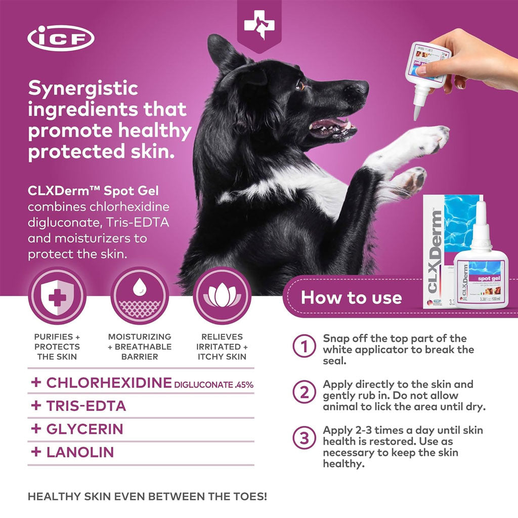 Advertisement for ICF CLX Derm Spot Gel with a dog and product packaging on a purple background.