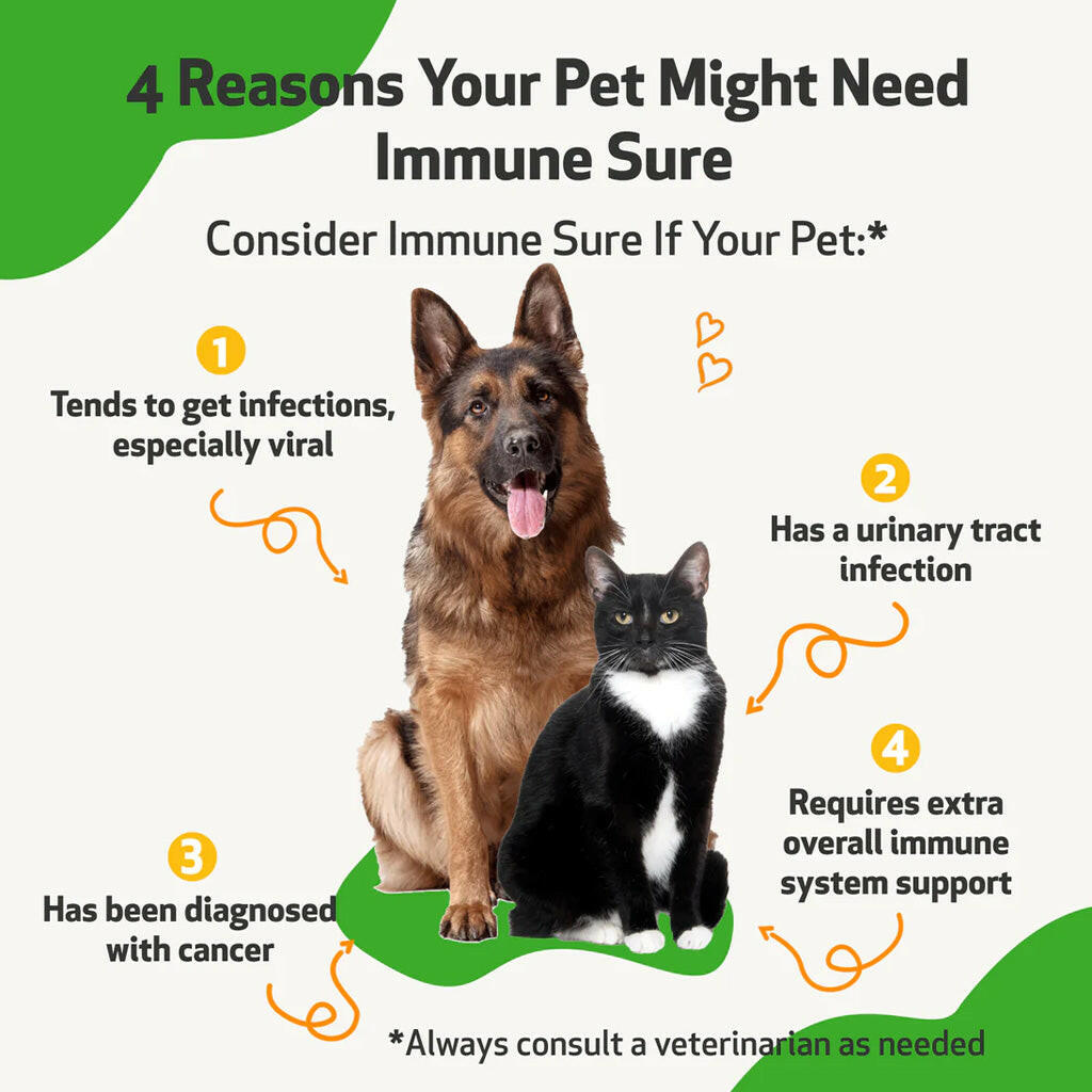 Immune SURE -for Feline Immune System Support