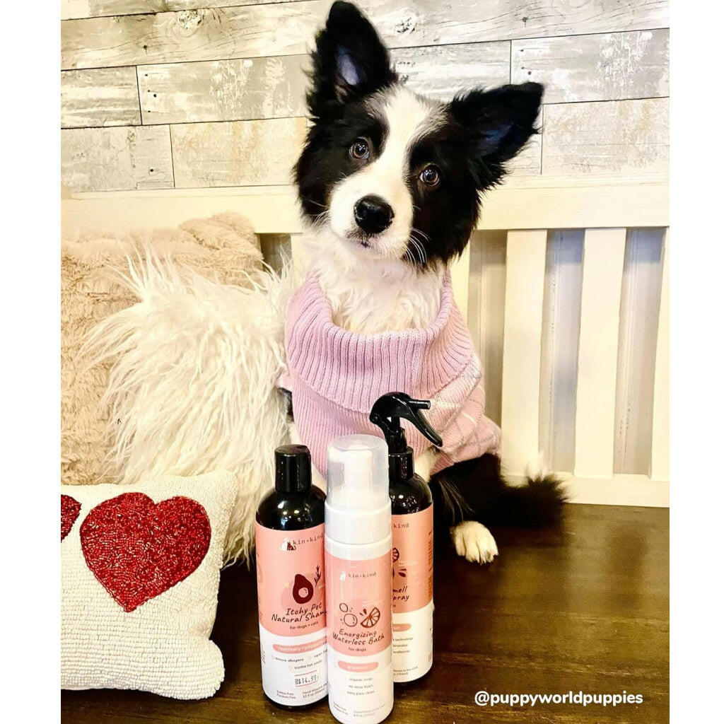 kin+kind Itchy Natural Rosemary & Peppermint Shampoo For Dog (12 oz)