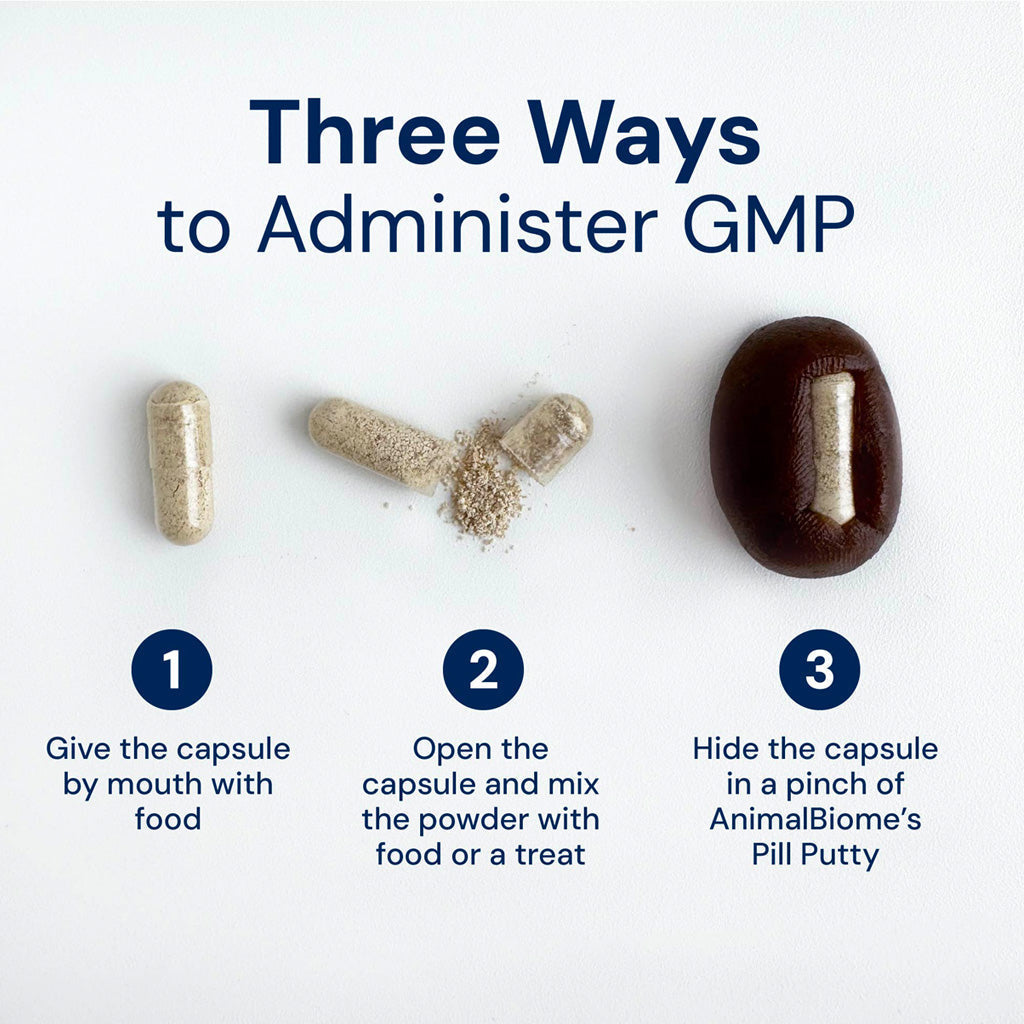Three methods to administer GMP with corresponding illustrations on a white background.