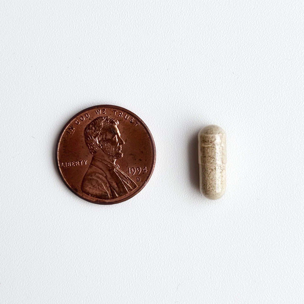 Pill next to a penny on a white background