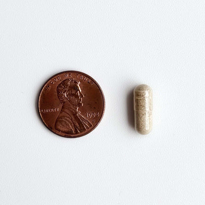 Pill next to a penny on a white background