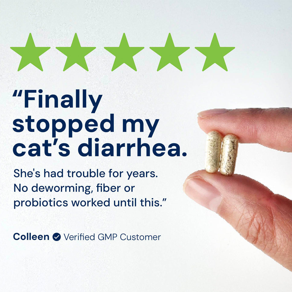 Hand holding two capsules with a five-star rating and customer testimonial on a white background