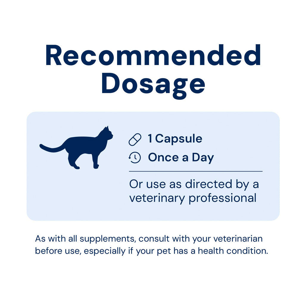 Instructional graphic for a pet supplement with a cat icon and dosage information.