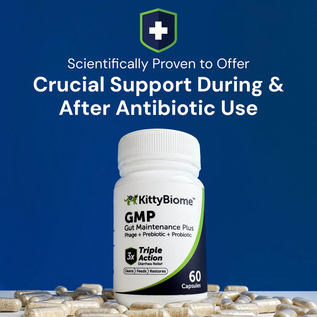 KittyBiome GMP supplement bottle with text on a blue background