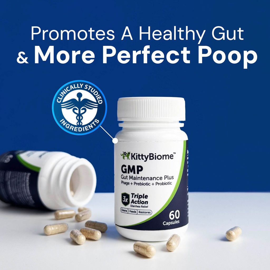 KittyBiome GMP supplement bottle with capsules on a blue background