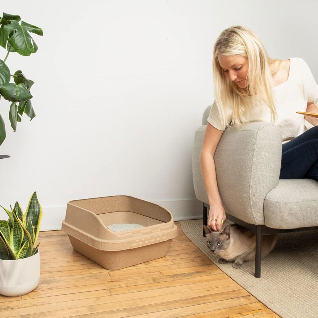 Kitty Sift Disposable Sifting Litter Box, Large