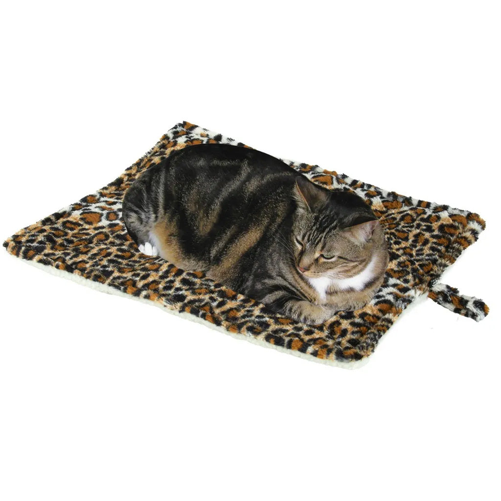 Cat lying on a leopard print blanket with a white background