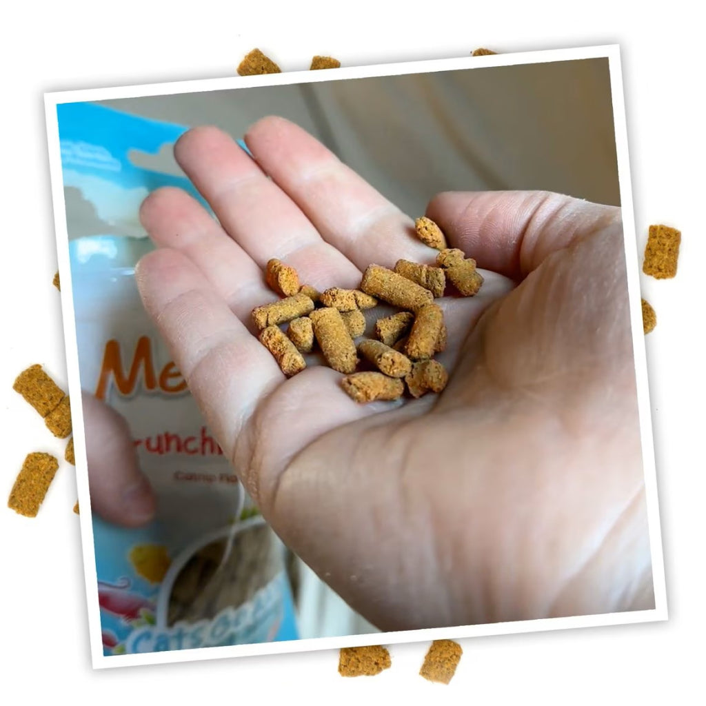 Meowijuana Crunchie Munchies Seafood Medley Flavor Catnip Treats (3 oz)