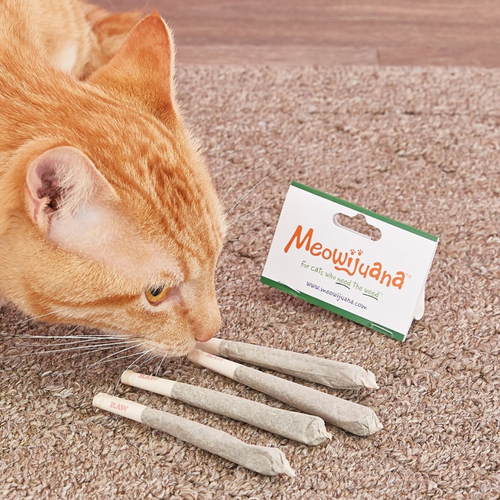Meowijuana King Meowy J's Catnip Joints