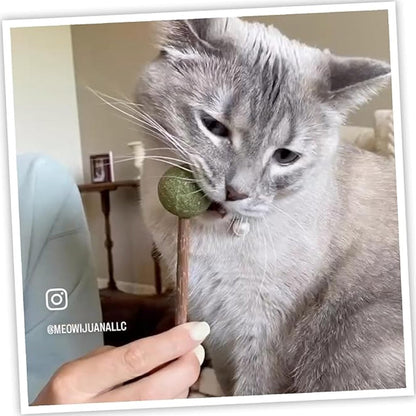 Meowijuana Lollies Silvervine Sticks with Catnip for Cats (3 ct)