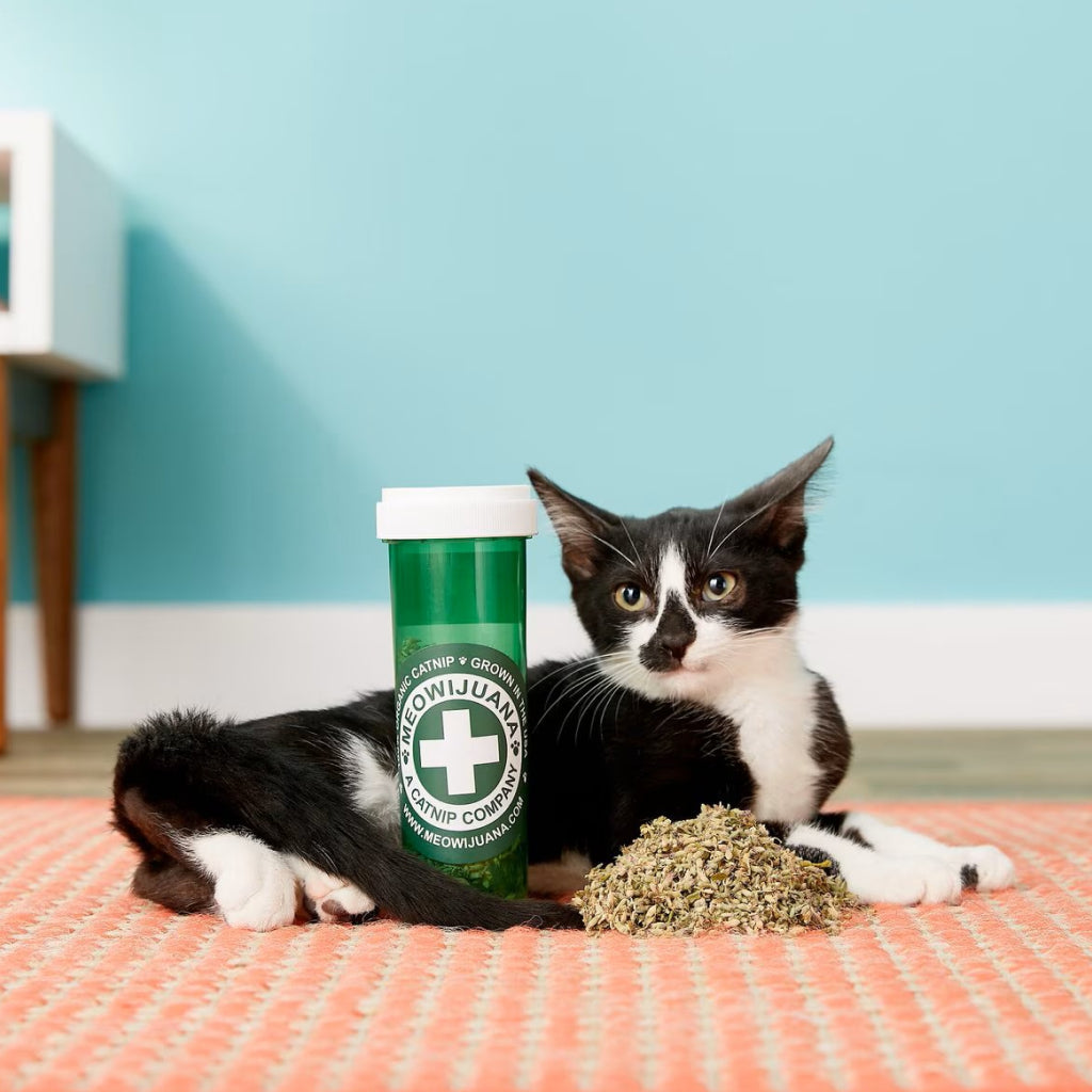 Meowijuana Meowi-Waui Ground Catnip & Catnip Buds (0.917 oz)