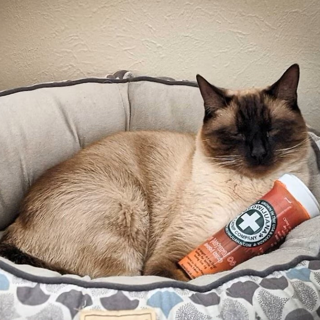 Meowijuana Paw Natural Og Ground Catnip (0.917 oz)