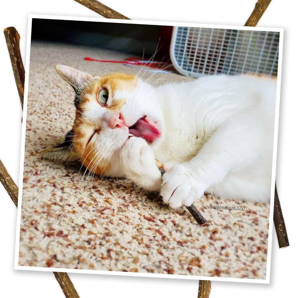 Meowijuana Silvervine Sticks for Cats