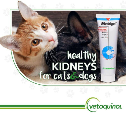 vetoquinol methigel