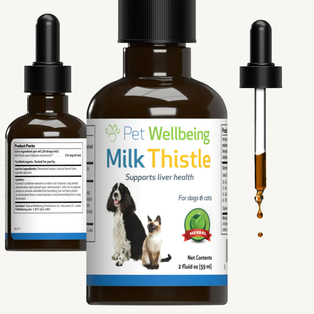 Milk thistle for cats