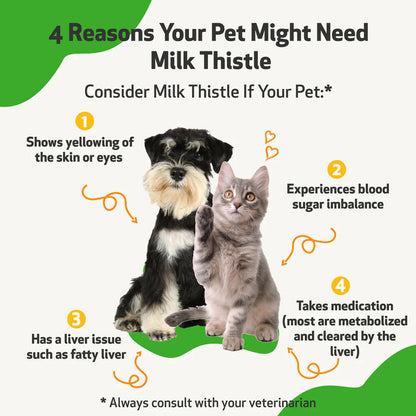 Pet Wellbeing milk thistle is a liver supplement for cats