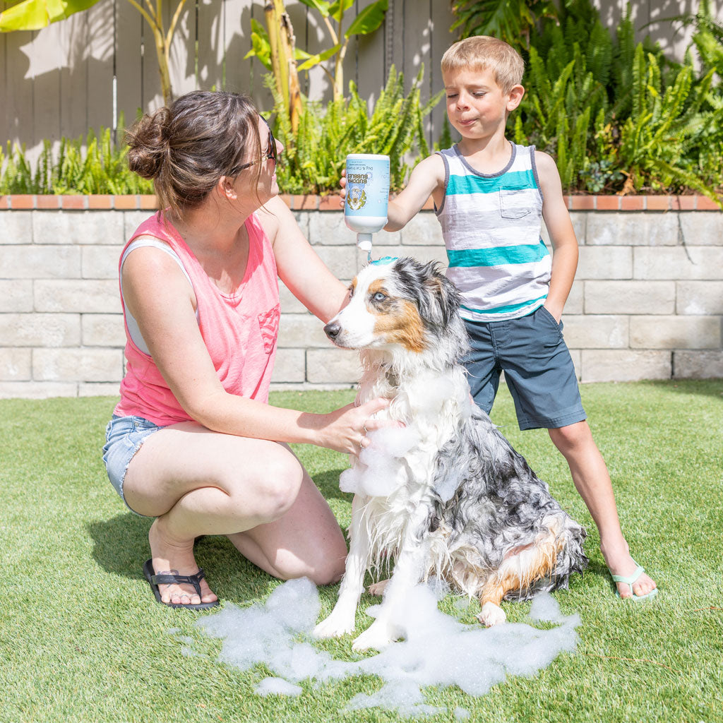 Natural Cravings Buddha Bubbles Grab-and-Go Set Organic Shampoo & Conditioner for Dogs & Cats