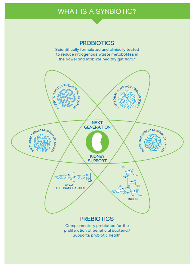 synbiotic supplements contain both pre and probiotics