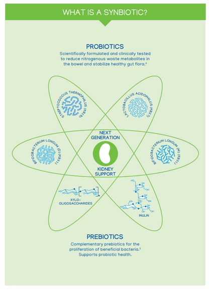 synbiotic supplements contain both pre and probiotics