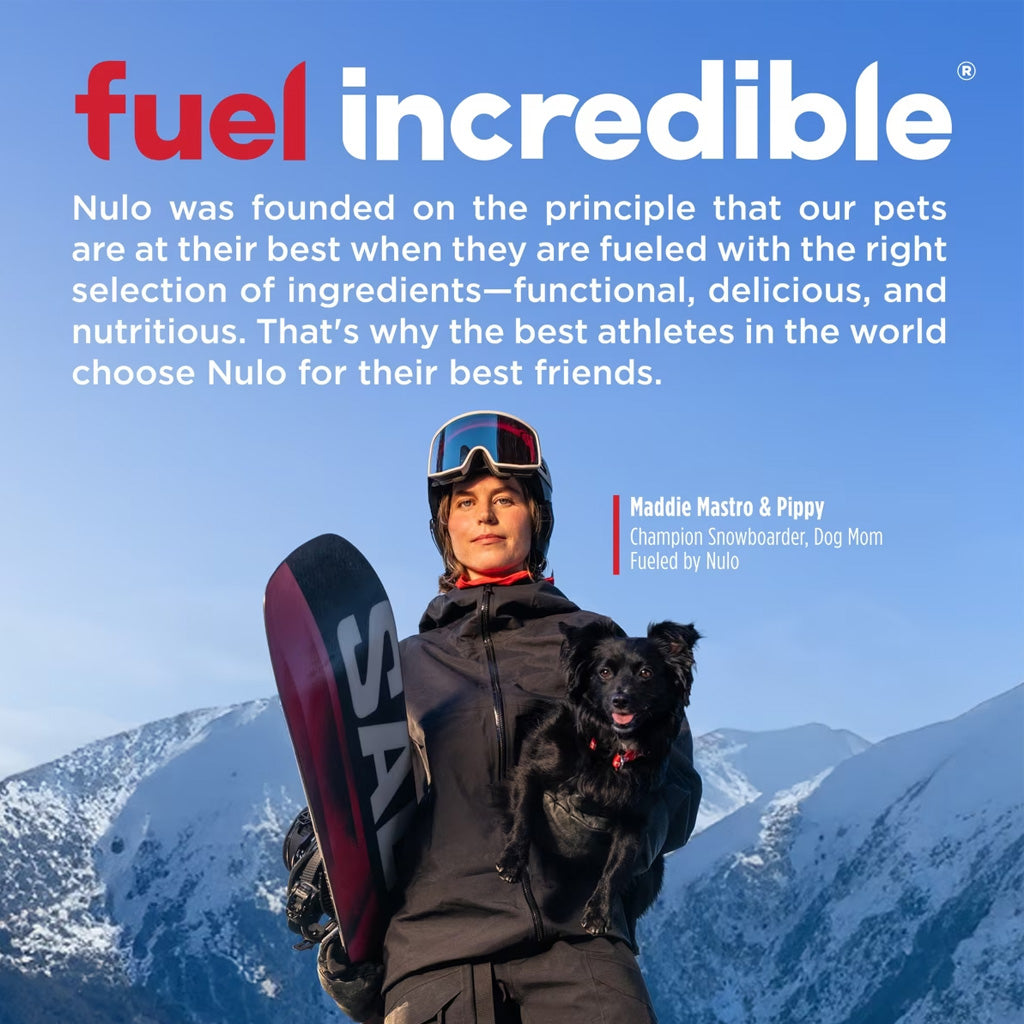 Person holding a snowboard with a dog, set against a mountainous background, with Nulo pet food branding.