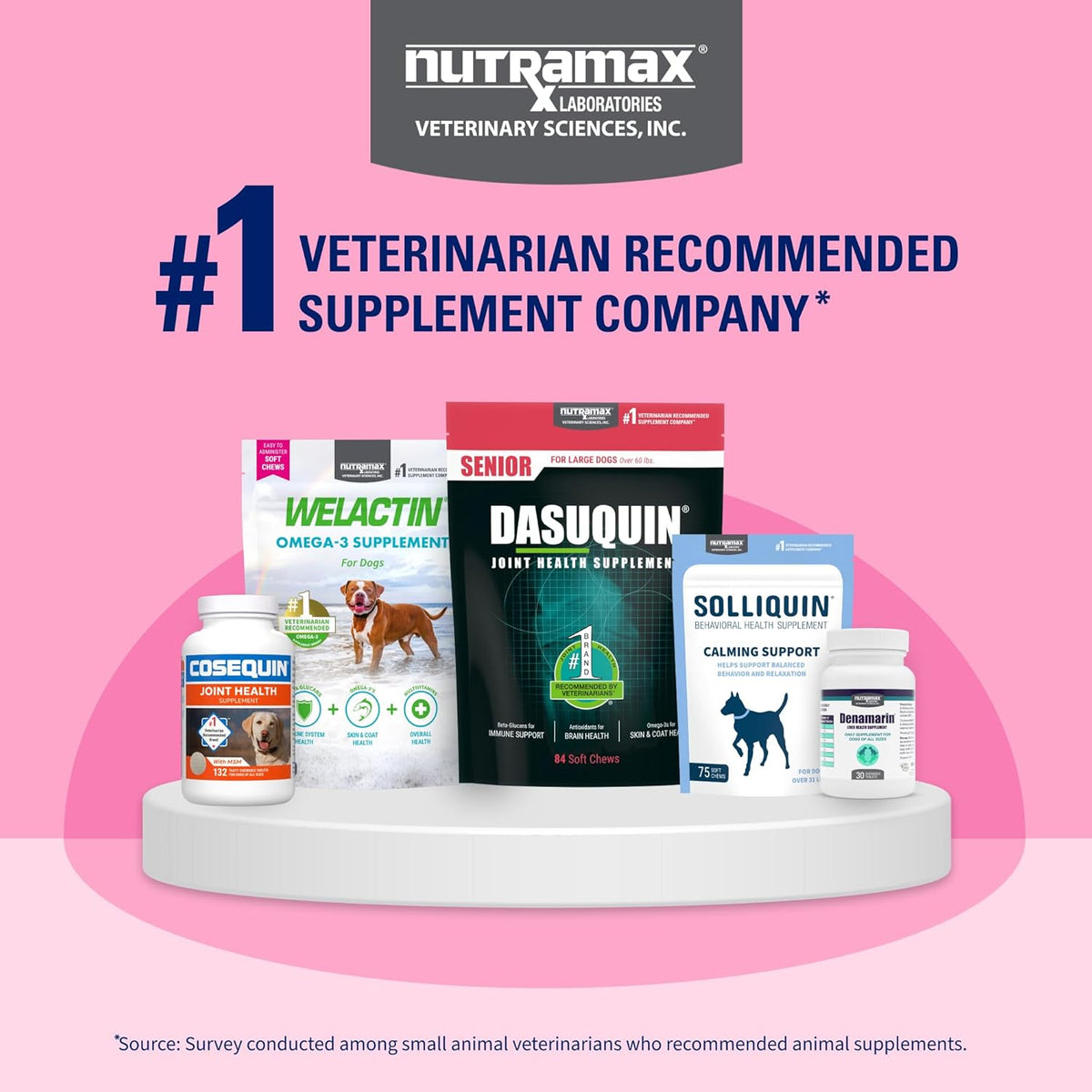 Nutramax Proviable Digestive Health Supplement Kit for Cats And Dogs