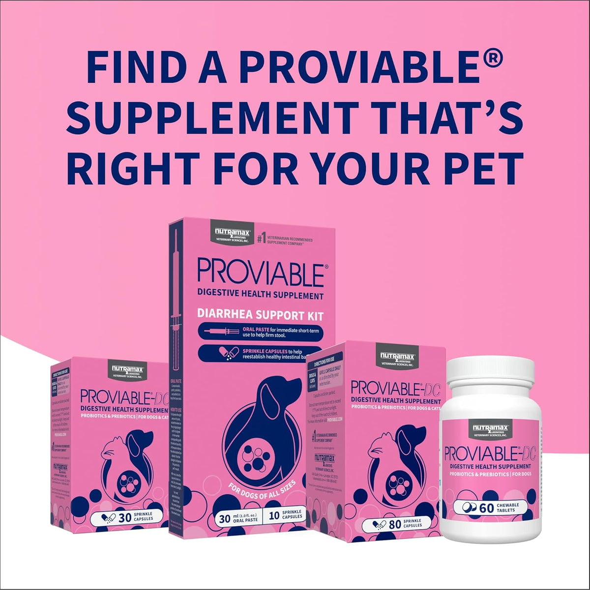 Nutramax Proviable Digestive Health Supplement Kit for Cats And Dogs