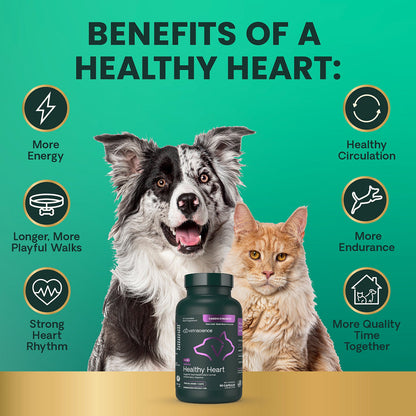 Omega Healthy Heart Capsules for Cats and Dogs