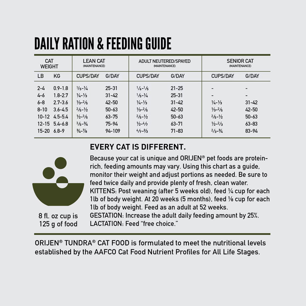 Daily ration and feeding guide for cats by Orijen on a white background