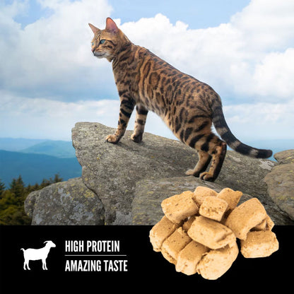 ORIJEN Tundra Grain-Free High-Protein Raw Animal Ingredients Freeze Dried Cat Treats, 1.25-oz bag