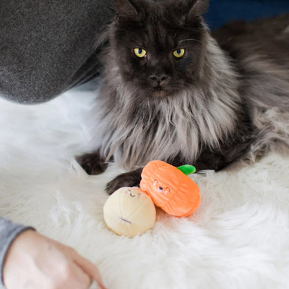 Pearhead Oh My Gourd Toys For Cat (2 pack)