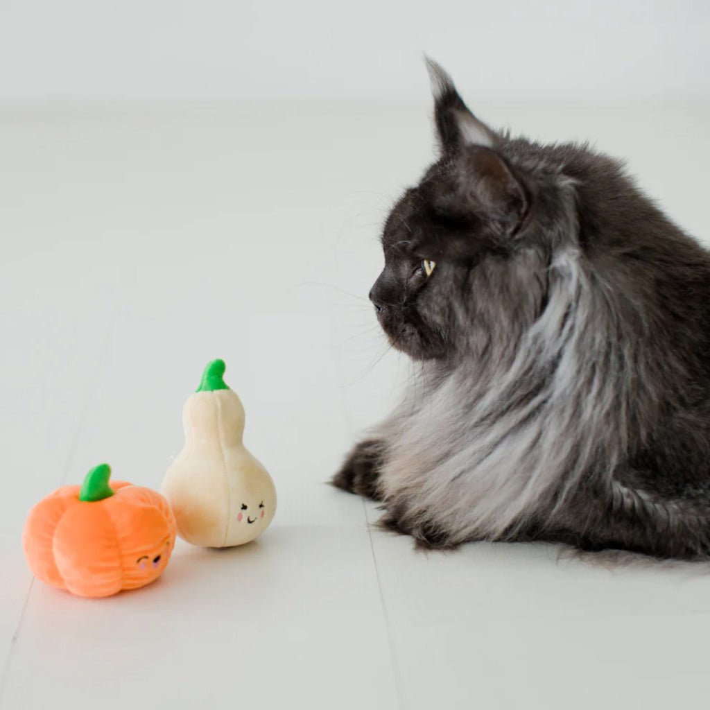 Pearhead Oh My Gourd Toys For Cat (2 pack)