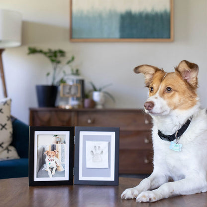 Dog sitting on a table with framed photos of itself in a home setting