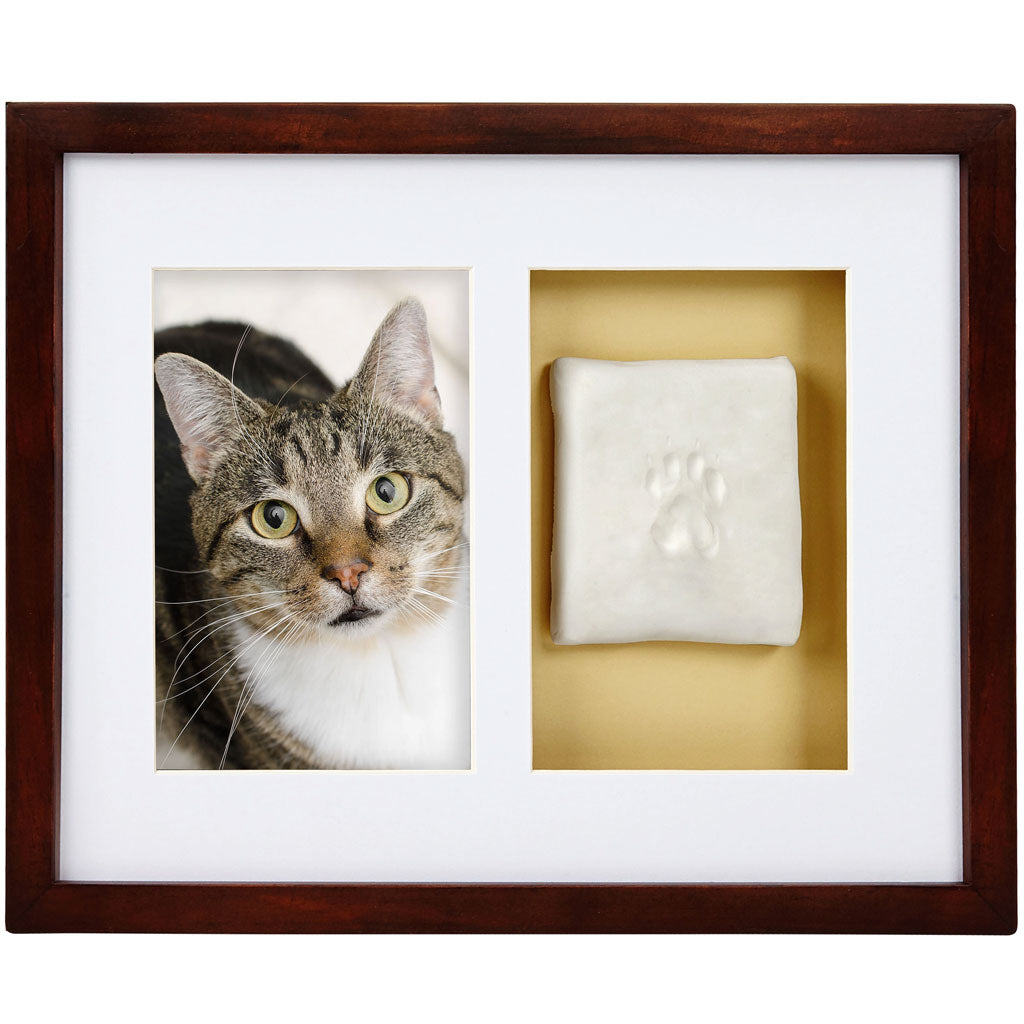 Framed picture of a cat and a paw print on a white background