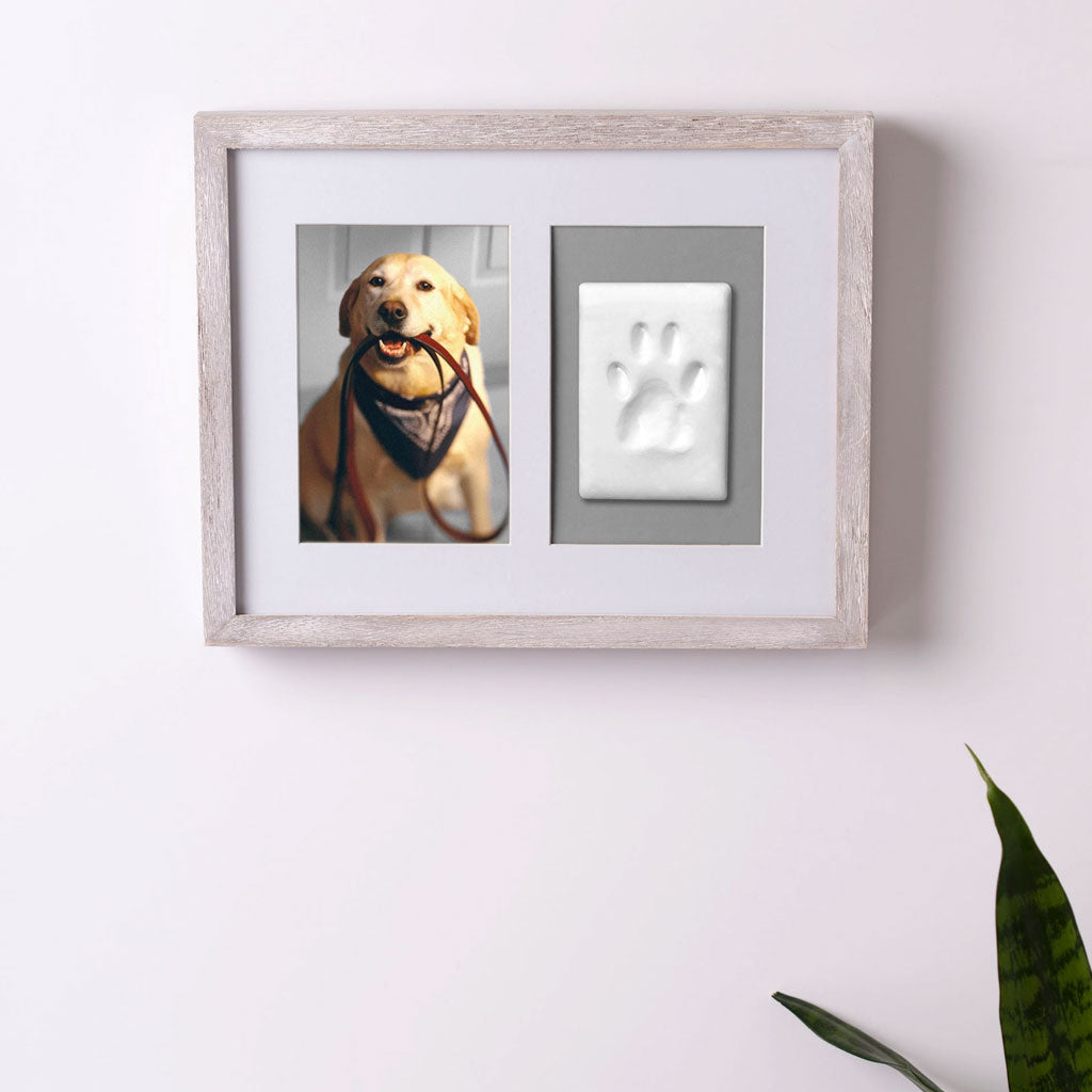 Framed photo of a dog with a paw print on a white wall