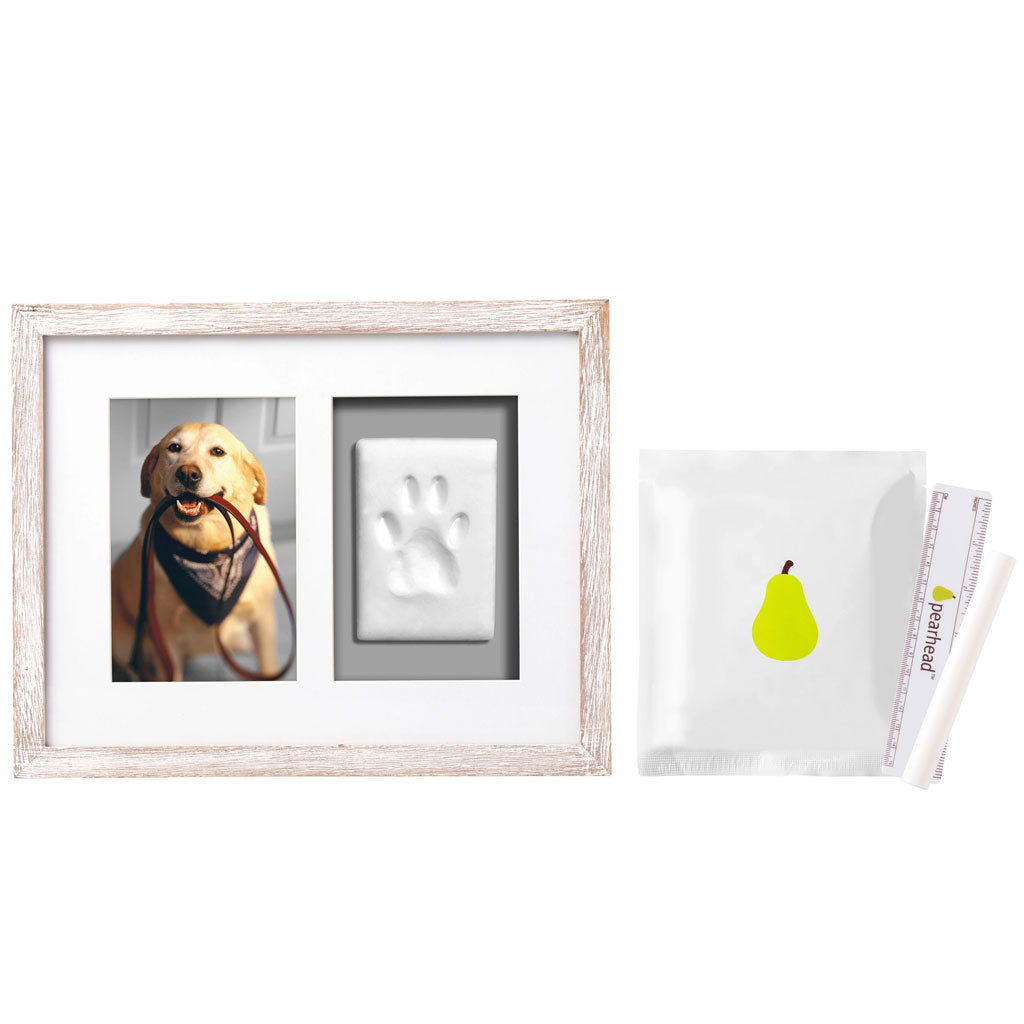 Framed photo of a dog, handprint, and a pear illustration on a white background