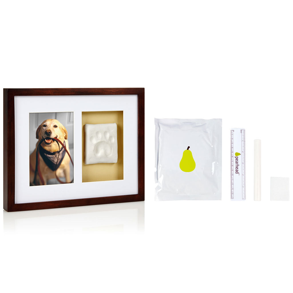 Framed photo of a dog, white paw print, and small pear illustration on a white background